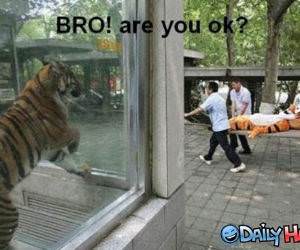 You Ok funny picture