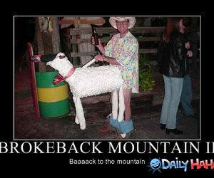 Brokeback Mountain 2 funny picture