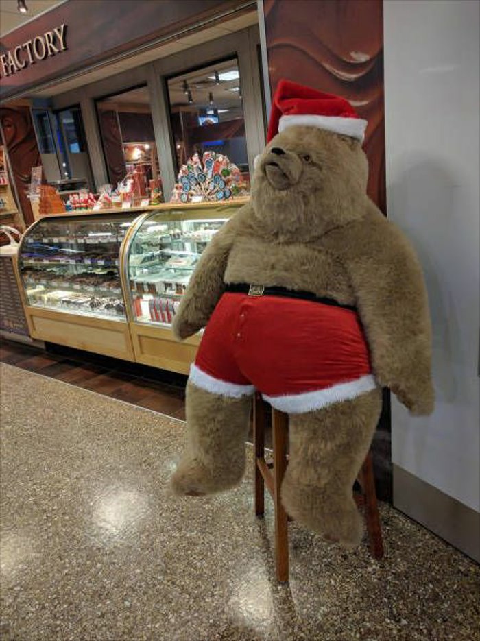 brown bear santa