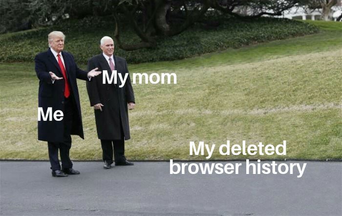 browser history