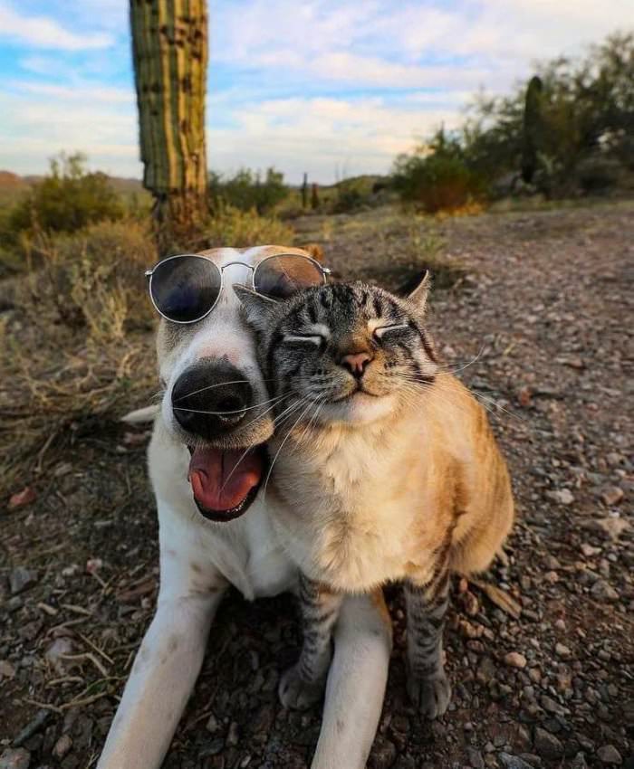 buddies are chilling