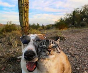 buddies are chilling