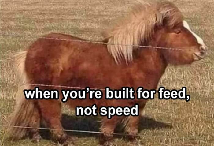 built for feed