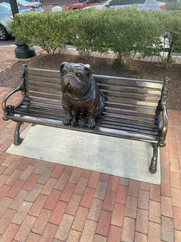 bulldog seating