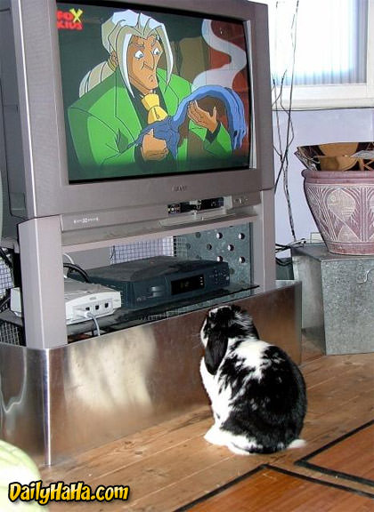 Bunny Watching TV