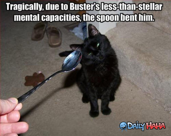 Busters Spoon LOLcat