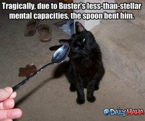 Busters Spoon LOLcat