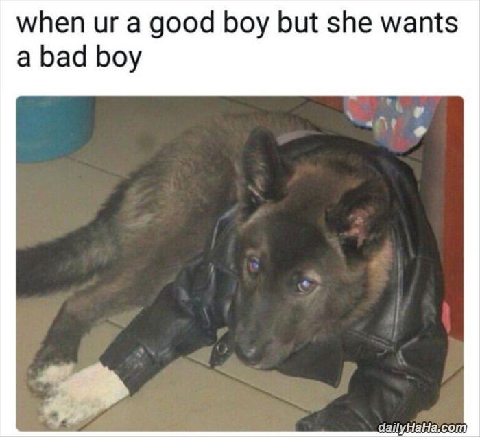 but she wants a bad boy funny picture