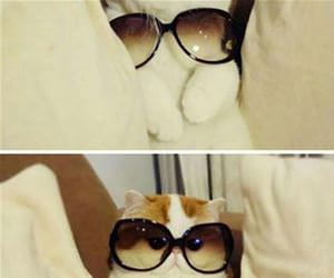 but these are for girls funny picture