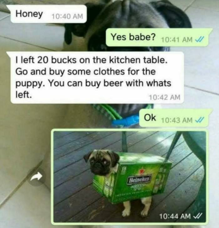 by some cloths for the puppy