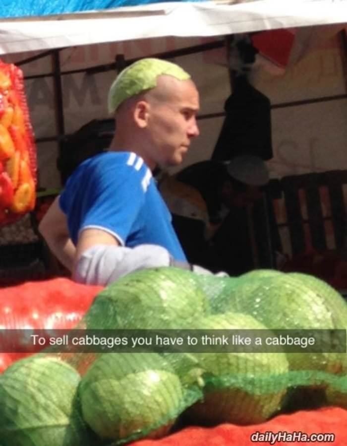 cabbage salesman funny picture