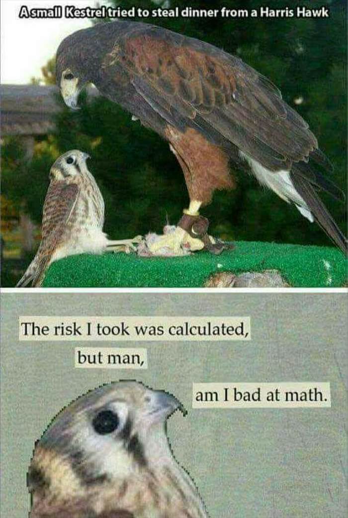 calculated risk