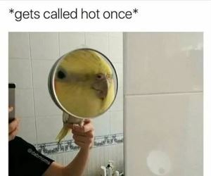 called hot