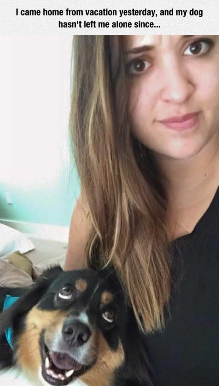 came home yesterday funny picture