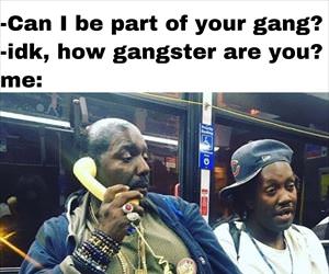 can i be in your gang