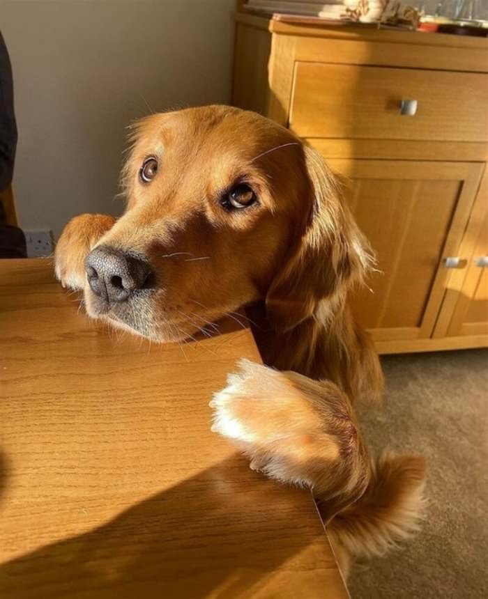 can i have just one bite