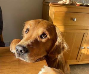 can i have just one bite