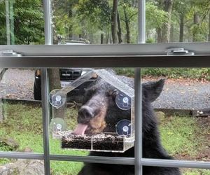 can i have some thanks