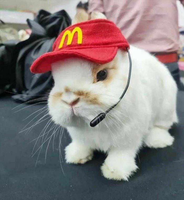 can i help you ... 2