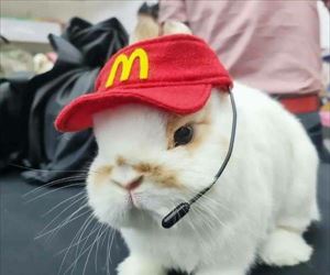 can i help you ... 2