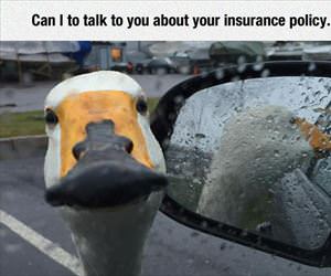 can i talk to you about your insurance