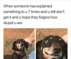 can you explain it one more time please