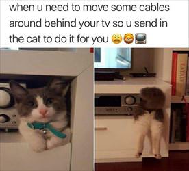 can you move those cables
