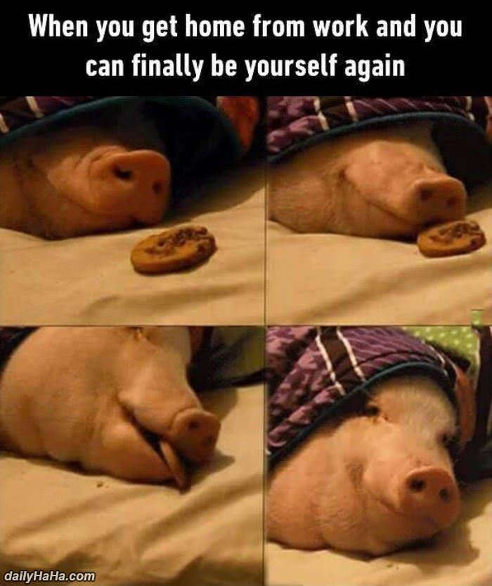 can finally be yourself again funny picture