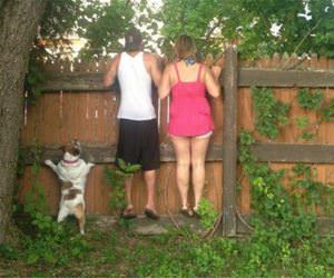 can i see funny picture