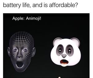 can we just get funny picture