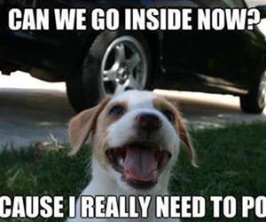can we please go inside now funny picture