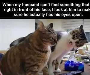 cannot find something