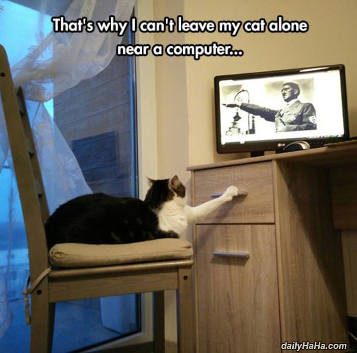 cannot leave my cat funny picture