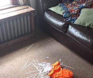 cant get out funny picture