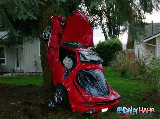 Car Tree Crash
