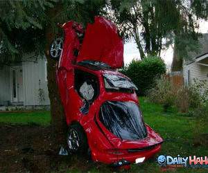 Car Tree Crash