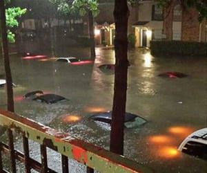 car pool lane funny picture