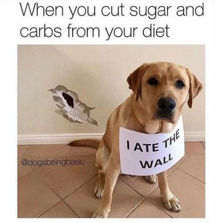 carbs diet