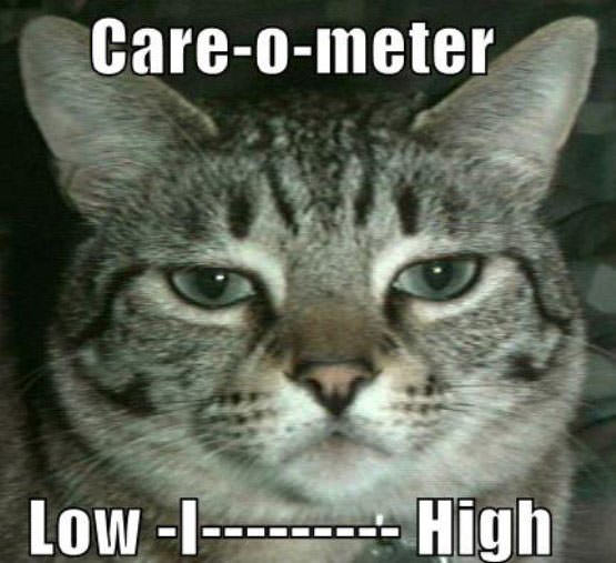Cats Care o Meter