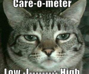 Cats Care o Meter