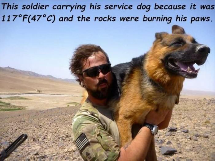 carrying his service dog