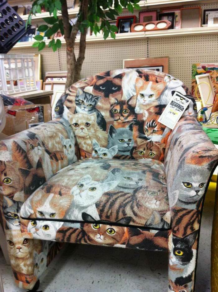 cat chair