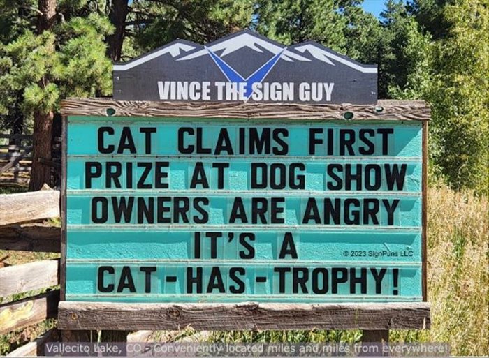 cat claims first prize