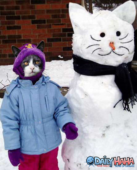 SnowMan and Cat picture