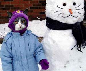 SnowMan and Cat picture