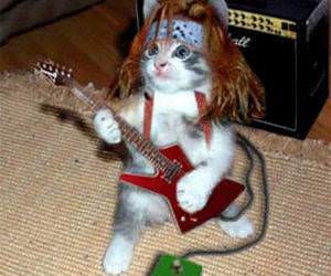 Probably better then me