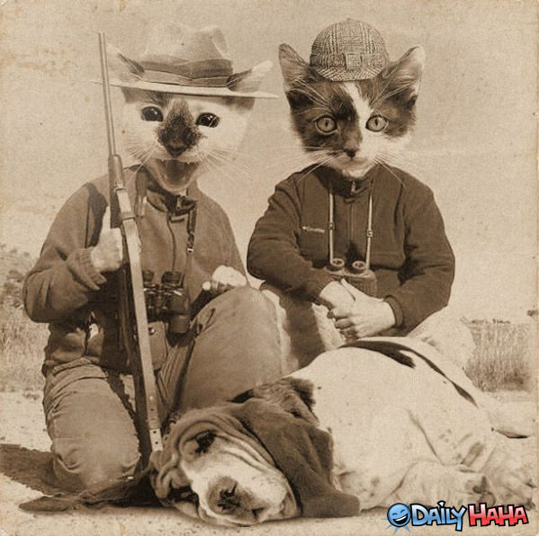 Cat Hunters Funny Pictur