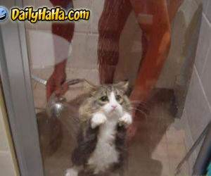 Cat Showering