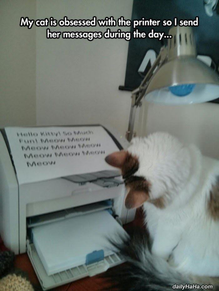 cat is obsessed with the printer funny picture