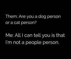 cat or a dog person funny picture